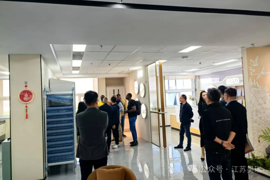 1744767998292519.png 04.webp.png